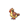 Game sprite for Pidgey 