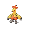 Game sprite for Combusken 