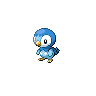 Game sprite for Piplup 