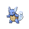 Game sprite for Wartortle 